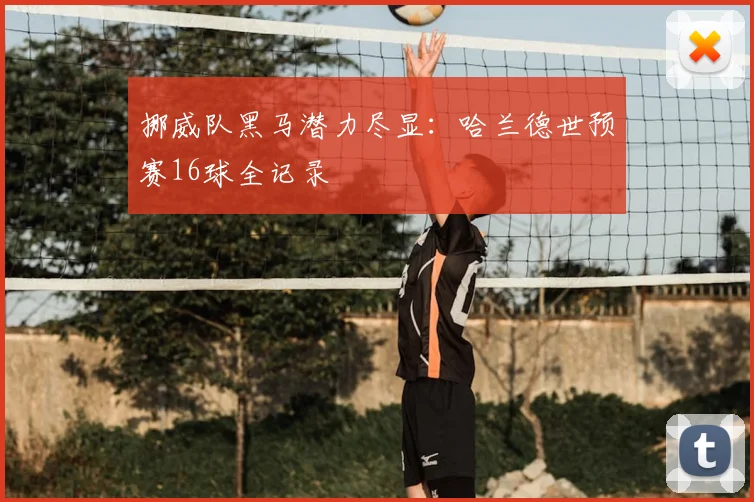 挪威队黑马潜力尽显:哈兰德世预赛16球全记录