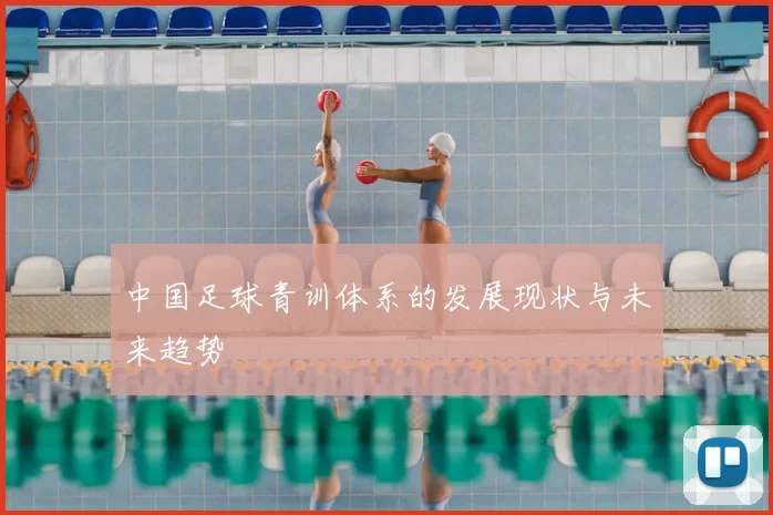 中国足球青训体系的发展现状与未来趋势